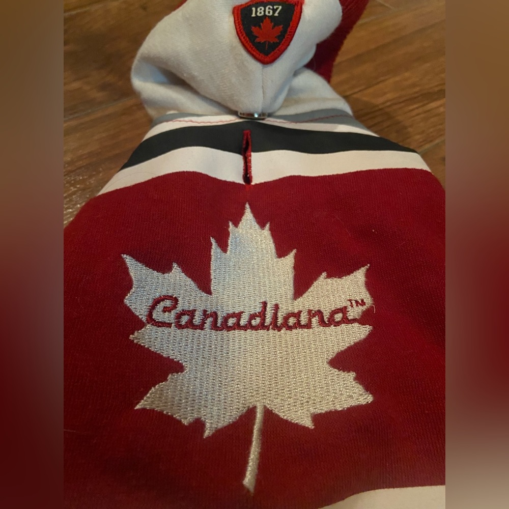 small dog sweater bundle